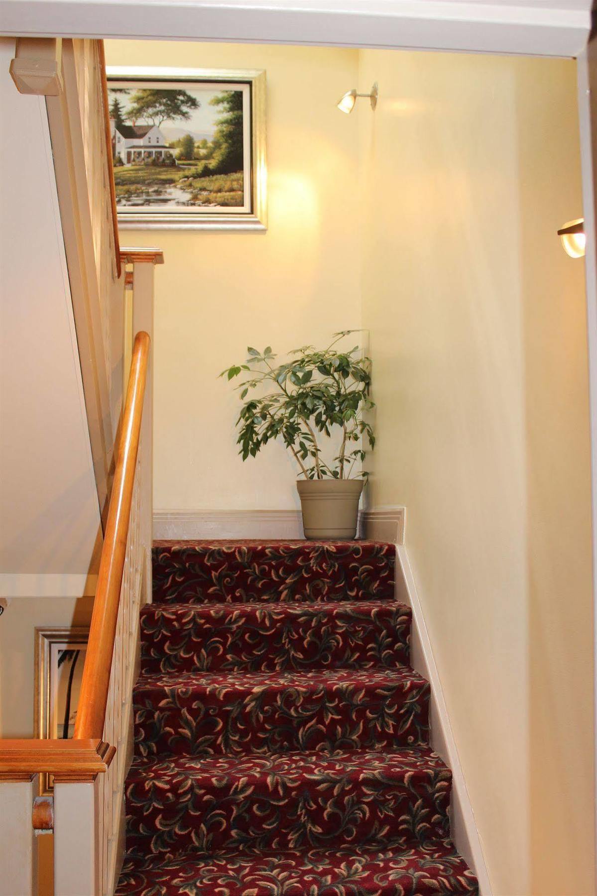 Le Saint-Malo Hotel Montreal Exterior photo